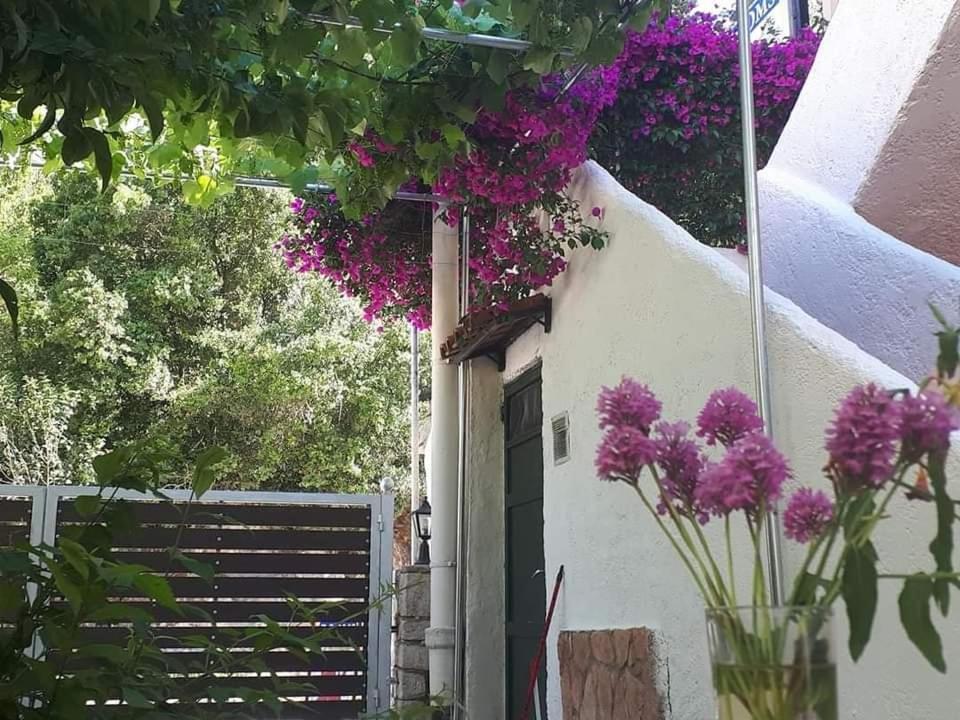 Achilleas Rooms Syvota Exterior photo